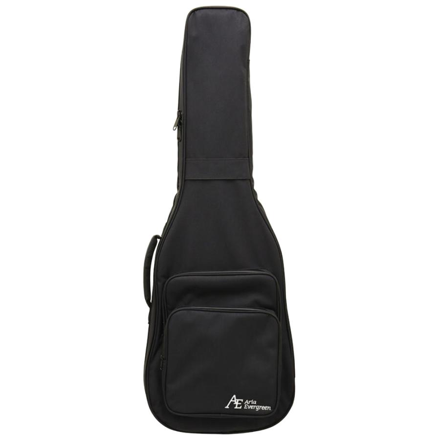 AriaProII アリアプロII PE-AE200 MBWH Aria Evergreen エレキギターの画像