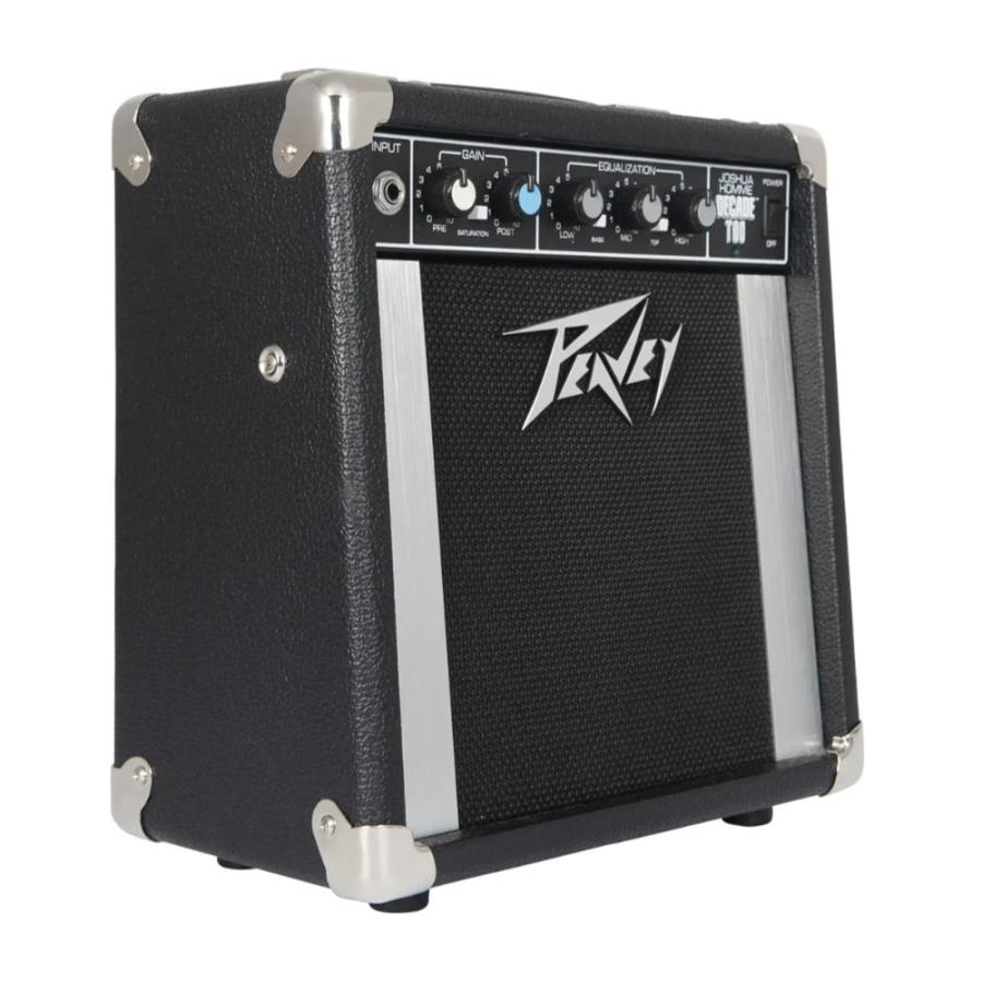 PEAVEY ピーヴィー Decade Too Guitar Amp Combo ギターアンプ コンボ