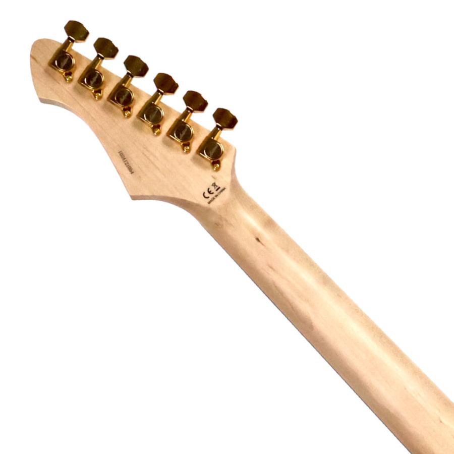 Aria proll エレキギター Aria Proll エレキギター 初心者 セット ZOOM G1Four付 LST-Z/BK