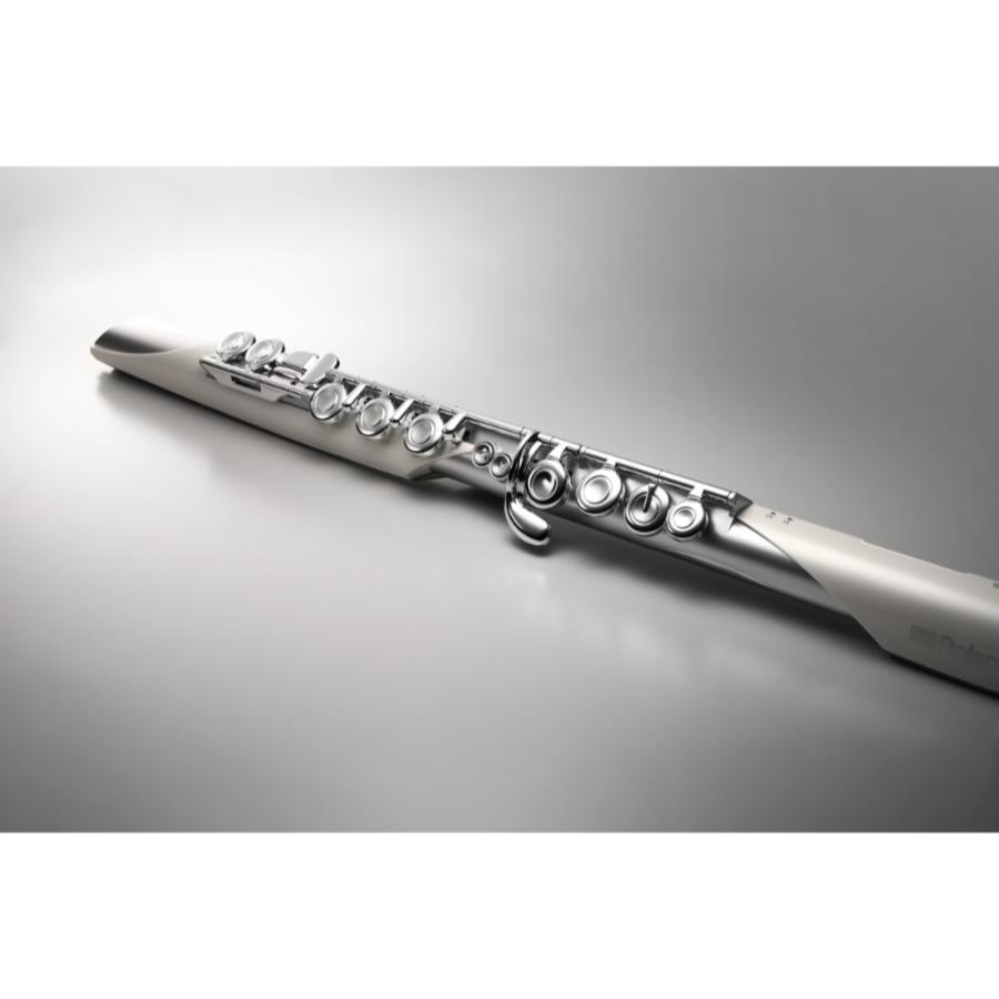 ローランド（Roland） フルート型電子管楽器 ROLAND AE-BRISA