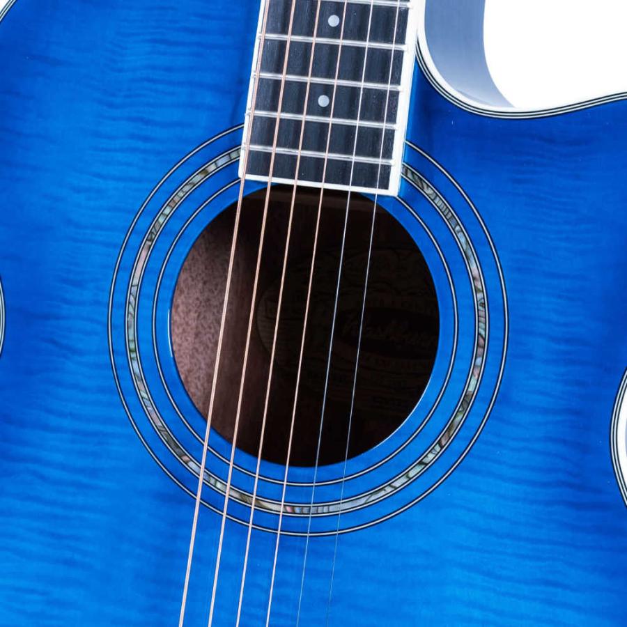 Washburn ワッシュバーン EA15 FLAME TRANSPARENT BLUE エレクトリック 