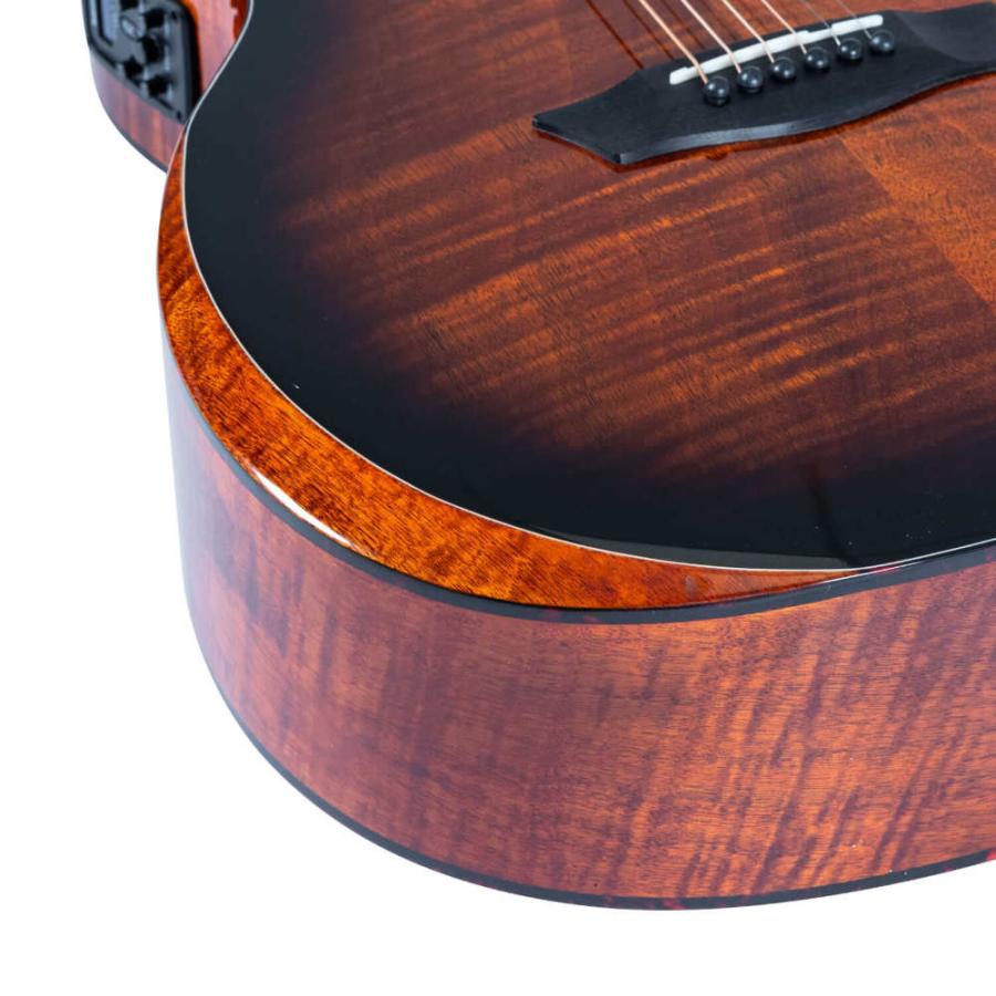 Washburn アコースティックギター ハードケース付きつるの剛士サイン入り
