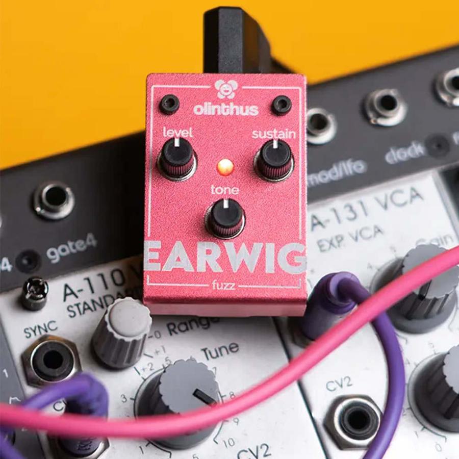 エフェクター Olinthus EARWIG 超小型エフェクター ファズ Fuzz