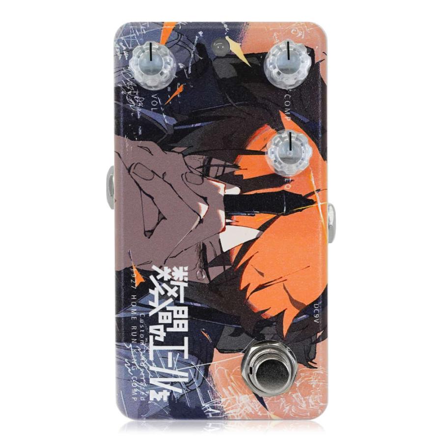 Animals Pedal アニマルズペダル Custom Illustrated HRKC 数分間の