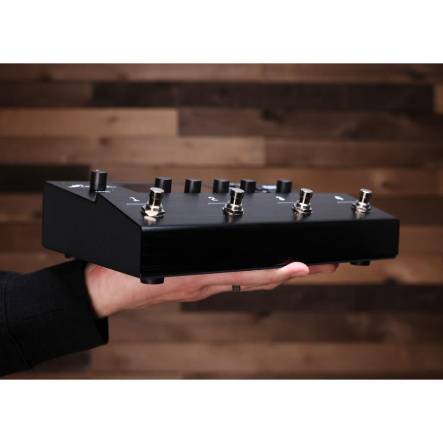 Fractal Audio Systems フラクタルオーディオシステムズ AM4 アンプ