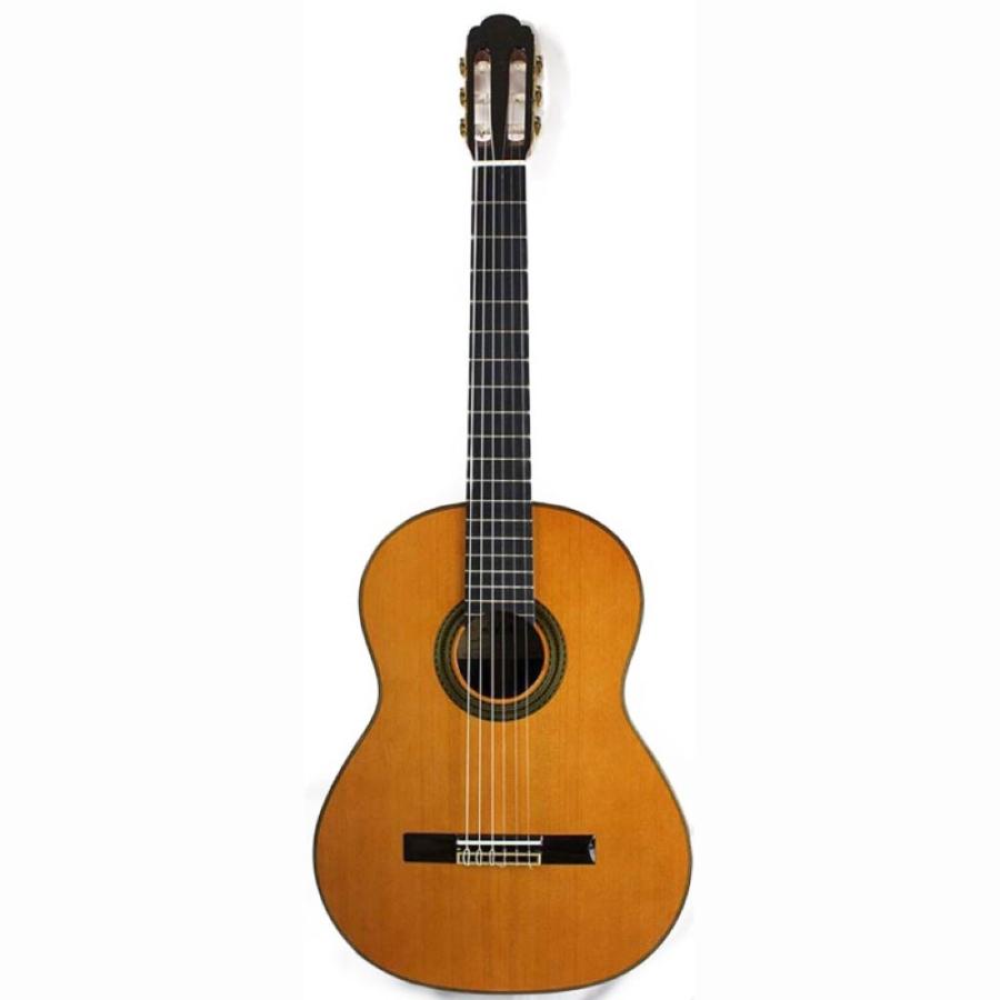 ARIA A-100C クラシックギター ハードケース付き :51470:chuya-online.com - 通販 - Yahoo!ショッピング