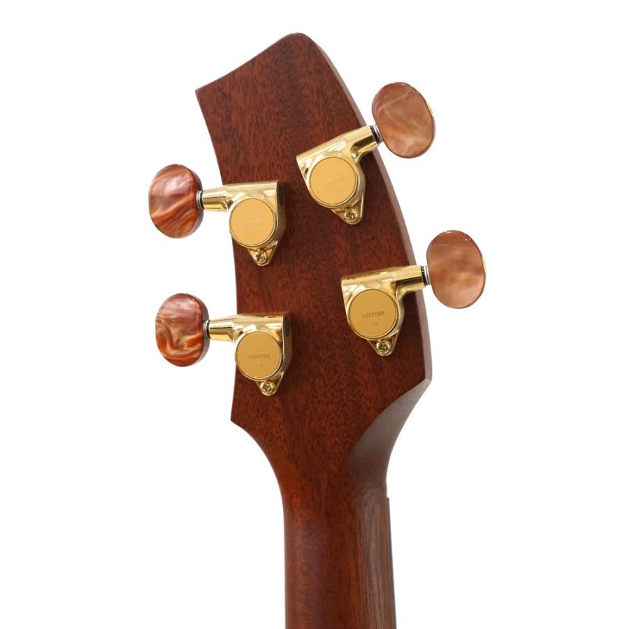 K.Yairi 一五一会 ベーシック ハードケース付き : chuya-online チュー