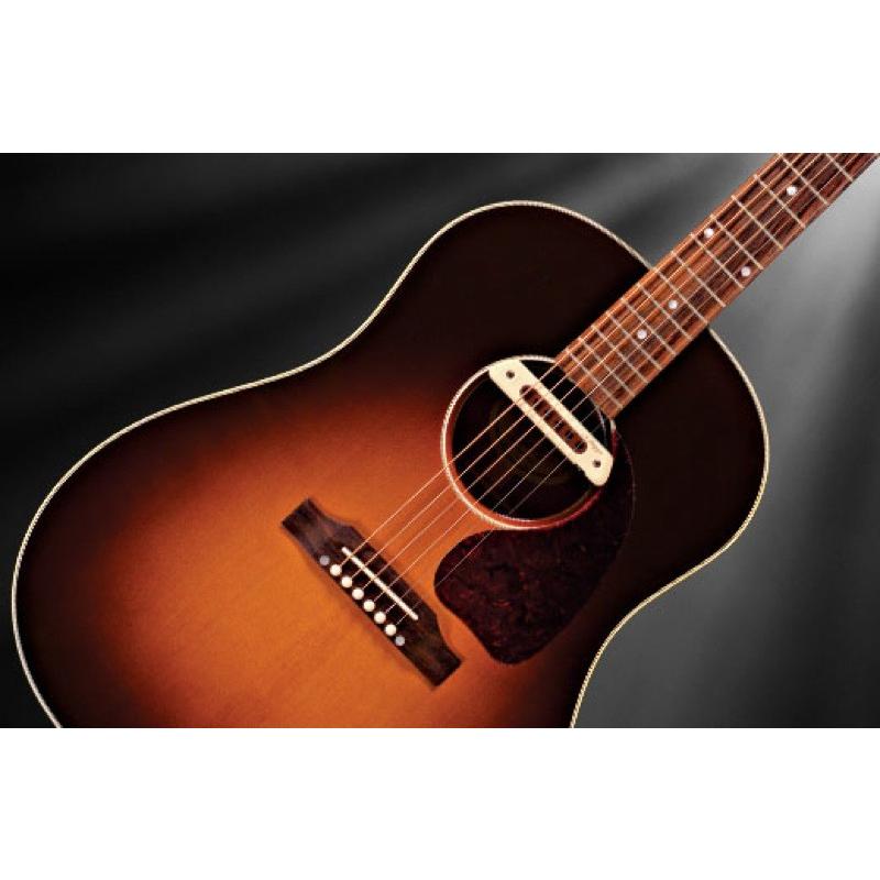 L.R.BAGGS M80 アコースティックギター用ピックアップ 正規輸入品 