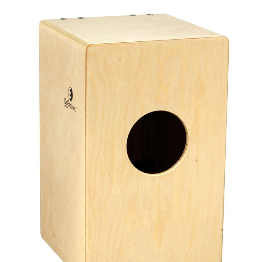 カホン DG CAJON Chanela BLACK ソフトケース付き 楽器 ディージー