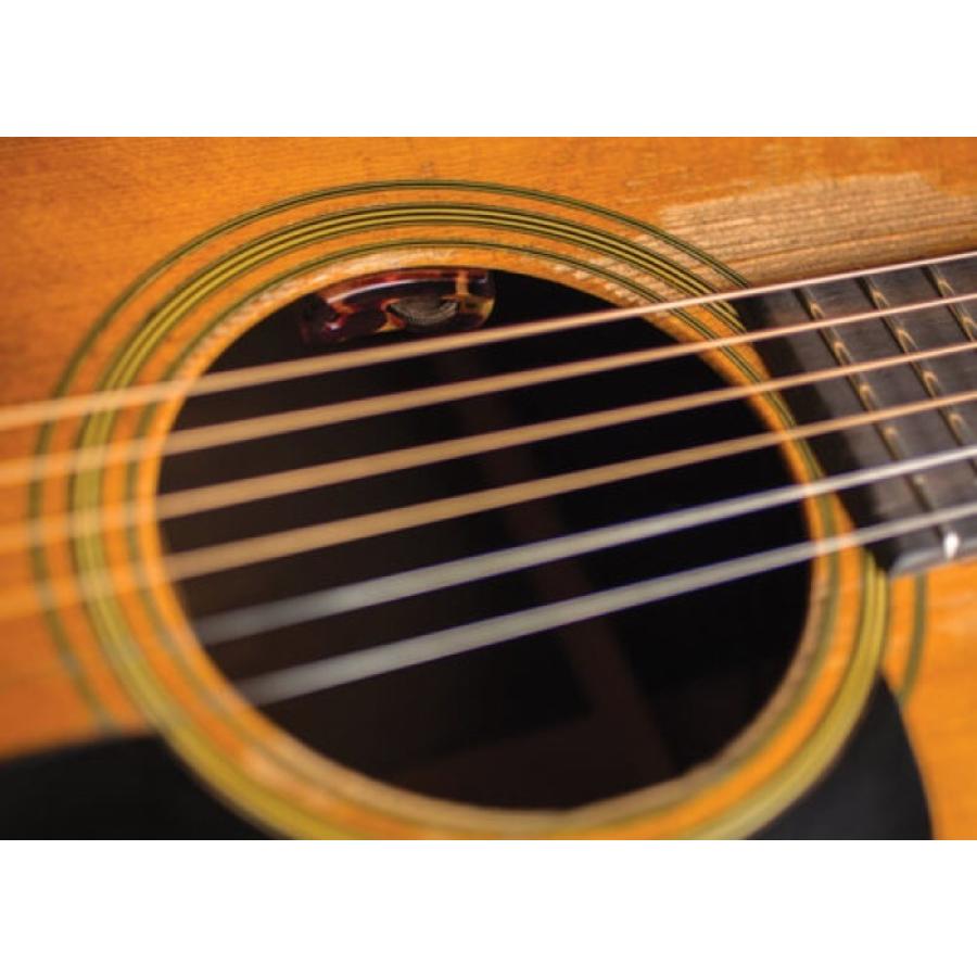 L.R.BAGGS LYRIC アコースティックギター用マイクシステム 正規