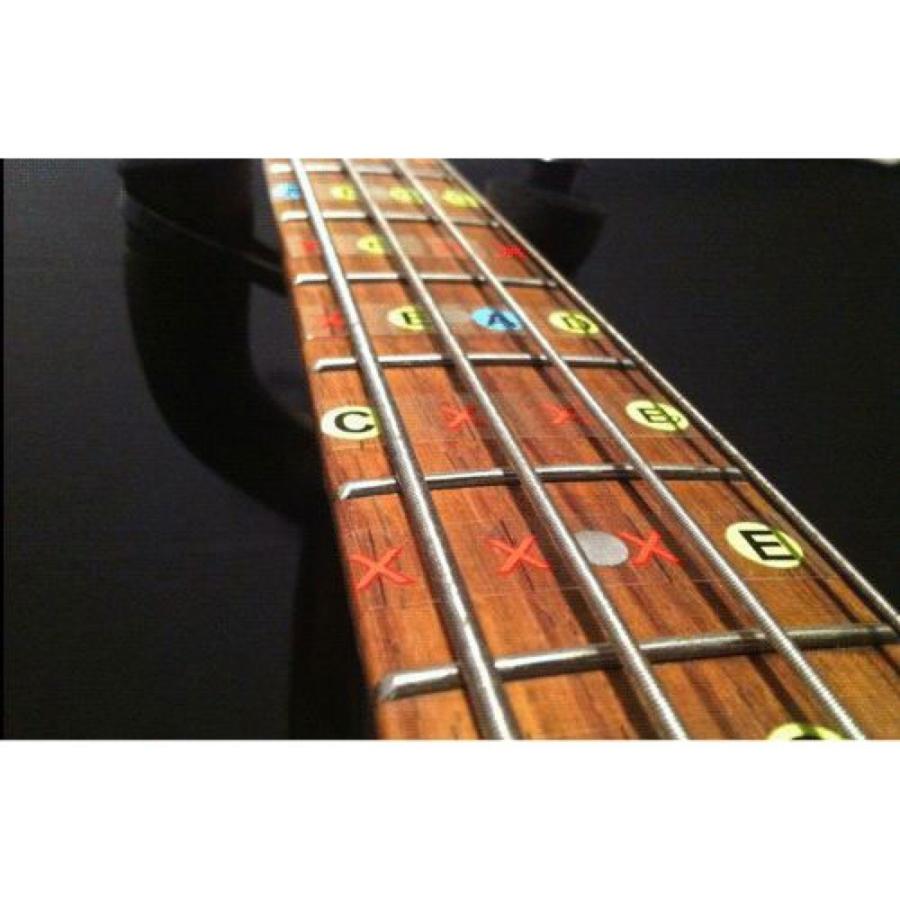 Fret Daddy スケール教則シール ハーモニックマイナースケール（Aスケール）ベース用