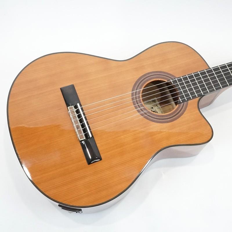 Aria A 35ce Ritterギグバッグ クロス 替え弦付き エレガット Chuya Online Com 通販 Paypayモール