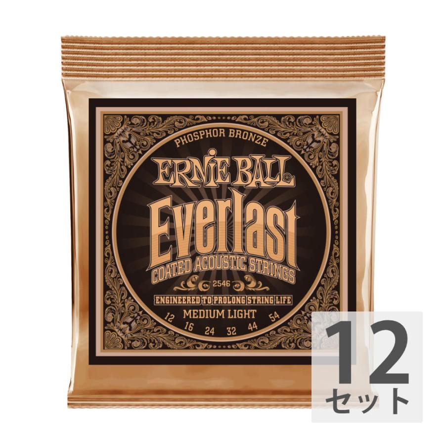 アーニーボール ERNIE BALL 2546 Everlast Coated PHOSPHOR BRONZE MEDIUM LIGHT アコースティックギター弦 ×12セット