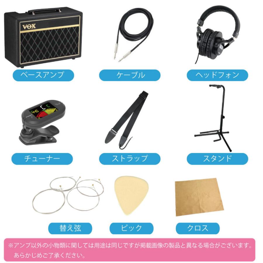 フェンダージャパンプレベ ケース、ストラップ、スタンドセット