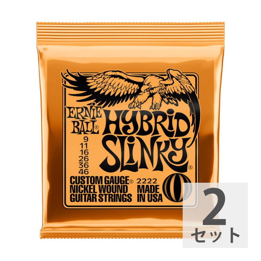 ERNIE BALL　アーニーボール　2222 09-46　弦　ダース　セット アーニーボール 【2セット】 ERNIE BALL 09-46 Hybrid Slinky