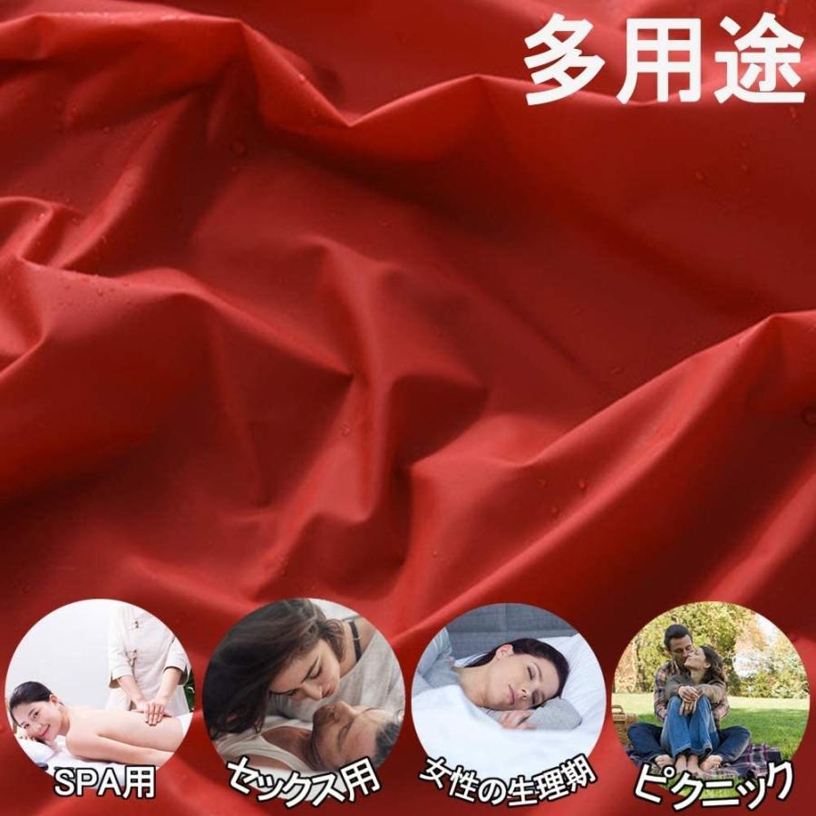 ベッドシーツ ベッドカバー セックスゲーム ピクニック シート 多用途 PVC 防水 3色展開 1.5mx2.2m |  | 11
