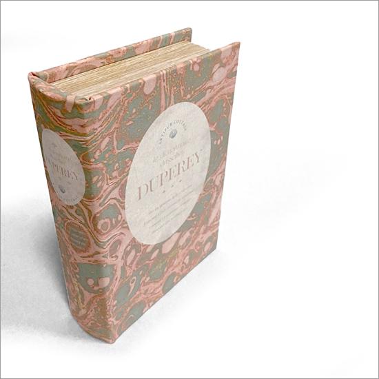 アンティーク ブックボックス X 小物入れ 収納箱 本型 古書型