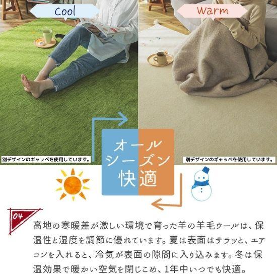 手織り ギャッベ 玄関マット 70×120cm GABBEH ギャベ ラグ ラグマット