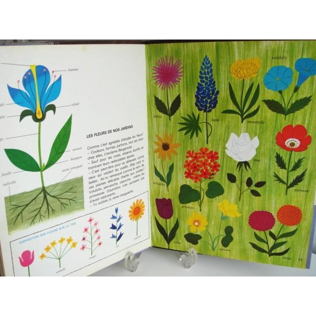 アラン グレ絵本 Les Plantes ヴィンテージ Alain Gree 植物 フランス語 At 62 アンティーク雑貨 Ciel Bleu Bis 通販 Yahoo ショッピング