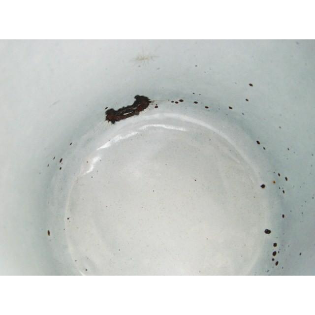 ホーローキャニスター 茶 3ピースセット B フランス アンティーク 保存容器 胡椒 紅茶 パスタ ブラウン |  | 09