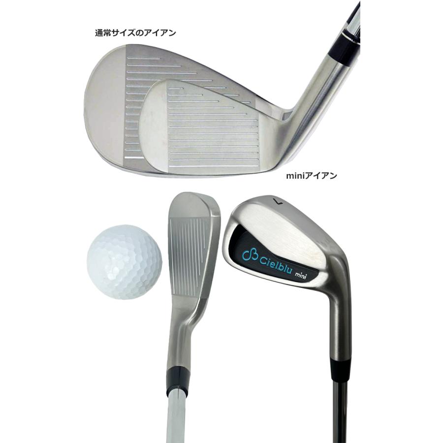 シェルブル mini アイアン ゴルフ 練習器 スイング練習 ミニ ヘッド