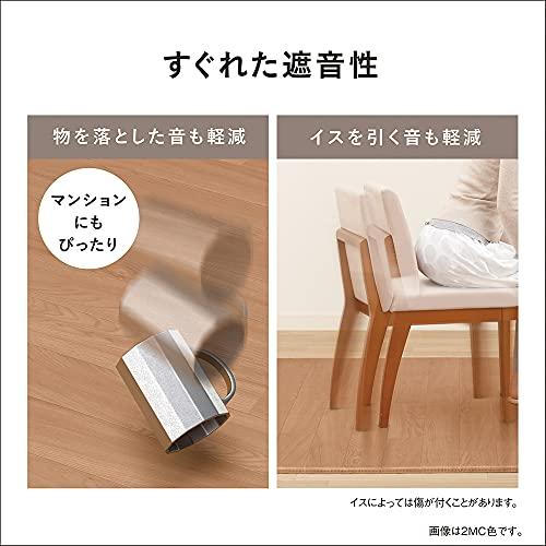 パナソニック ホットカーペット フローリングタイプ ~1畳相当 ブラウン DC-1V4-MT