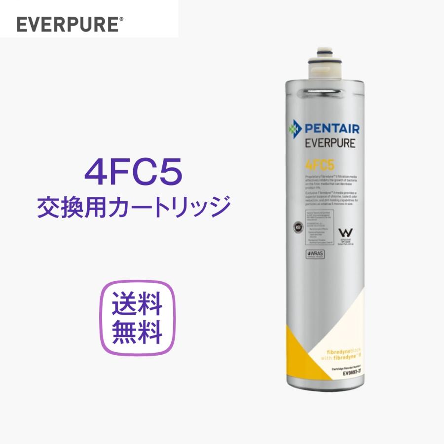 エバーピュア 4FC5 浄水器カートリッジ 業務用 : 厨房 キッチンプラス
