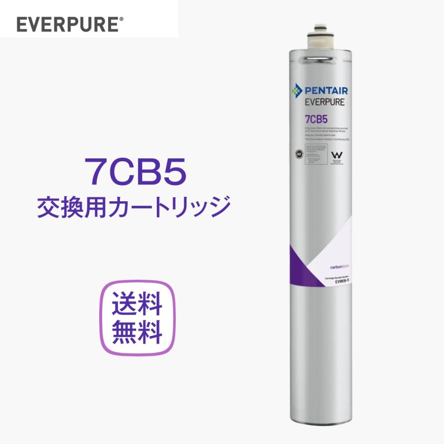 エバーピュア浄水器フィルタカートリッジ 7CB5-S エバーピュア 7CB5 浄水器カートリッジ 業務用 : 厨房 キッチンプラス