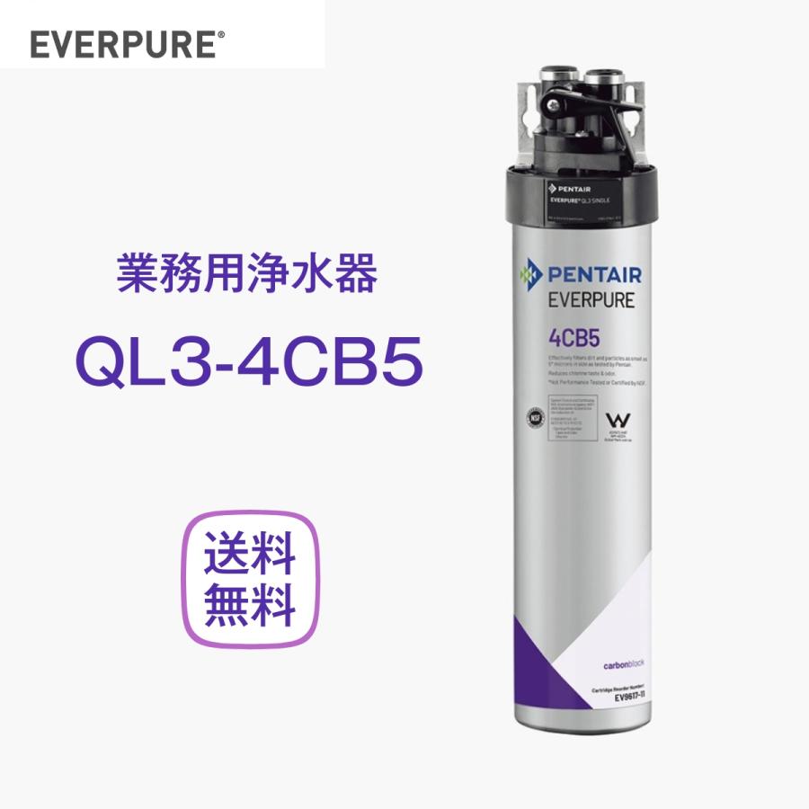 エバーピュア QL3-4CB5 浄水器 業務用 フィルターヘッド付 エバーピュア QL3-4CB5 浄水器 業務用 フィルターヘッド付