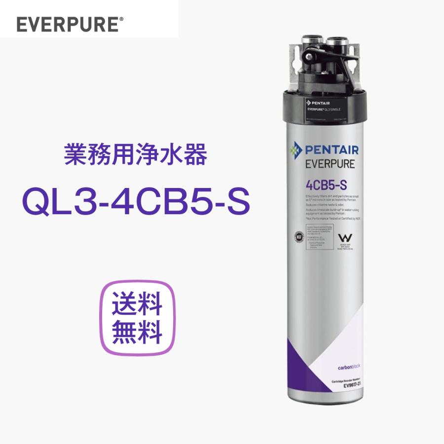 エバーピュア QL3-4CB5-S 浄水器 業務用 フィルターヘッド付 : 厨房