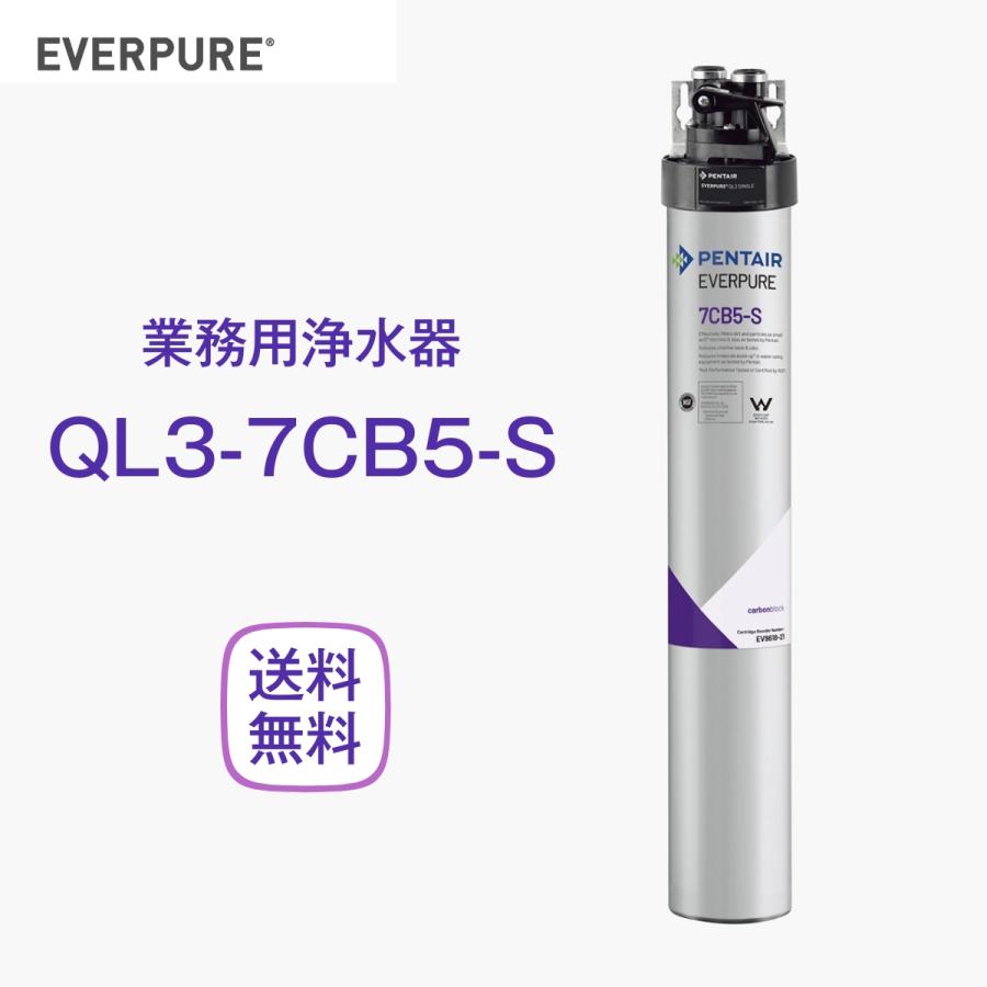 エバーピュア QL3-7CB5-S 浄水器 業務用 フィルターヘッド付