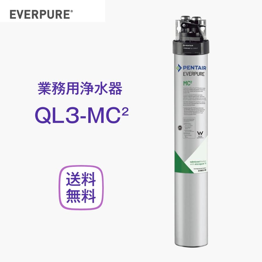 エバーピュア QL3-MC2 浄水器 業務用 フィルターヘッド付 : 厨房