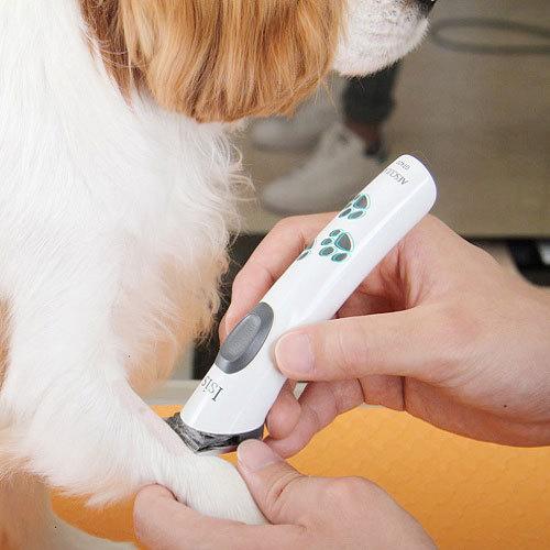 ペット用バリカン ＢＢＡ アイシス４２１Ｊ（小型充電式クリッパー） 