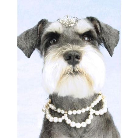 犬用ティアラ プリンセスティアラ パールハート クリア Shake シェイク ドッグウェアのciera 通販 Yahoo ショッピング