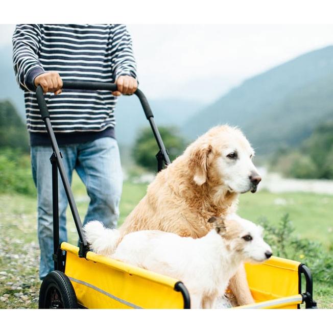 AIRBUGGY（エアバギー） フォードッグ キャリッジ 台車 ベリーレッド