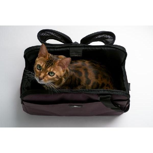 sleepypod atom スリーピーポッド アトム ジェットブラック 犬用