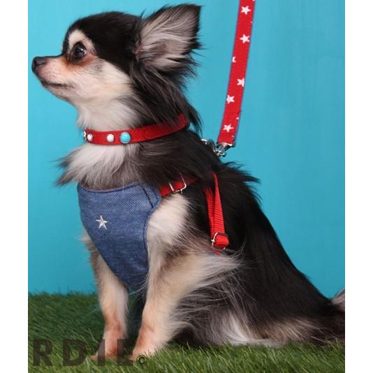 店舗 犬の胴輪 Birdie スターソフトハーネス ウォッシュドレッド バーディ Inova Auto Com