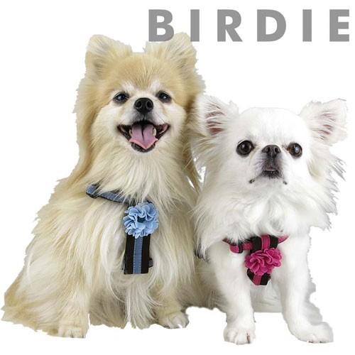 犬の胴輪 ダリアハーネス SM ピンク BIRDIE バーディ｜ciera｜03