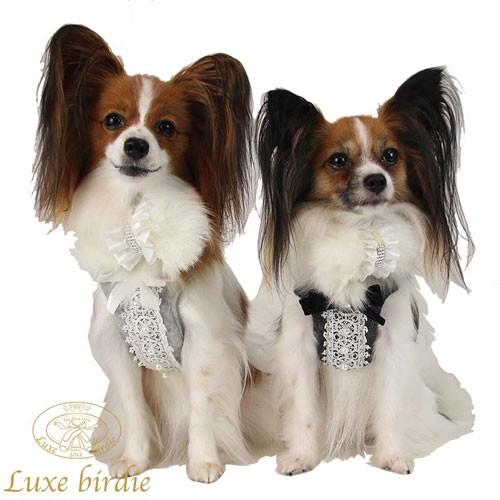 BIRDIE（バーディー） 犬の胴輪 Luxe birdie イヴェールドレスハーネス