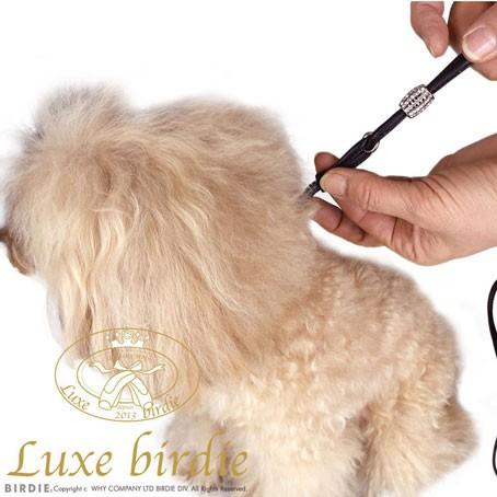 小型犬の首輪とリード Luxe birdieの首輪とリード リュクス バーディ BIRDIE（バーディー） 犬の首輪リード Luxe birdie ロンデル首輪リード