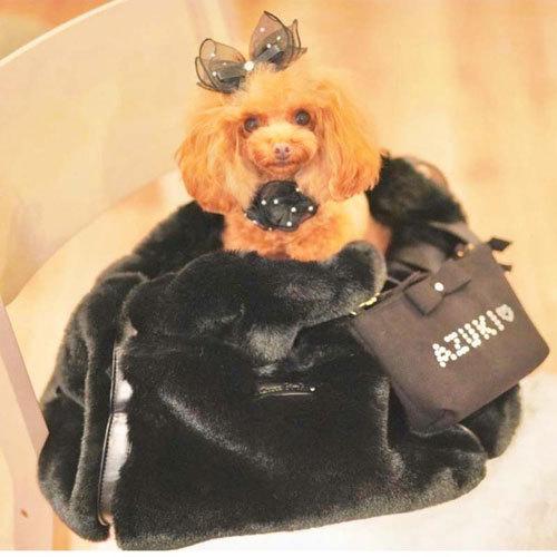 リュクスバーディ オルテンシアワンピ 犬服 ドッグウェア