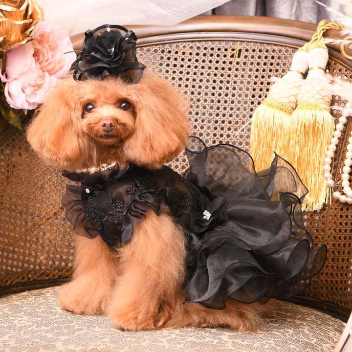 犬の服 春 夏 Luxe birdie クリスタルチュチュ ホワイト リュクスバーディ 洋服 ドッグウェアの画像