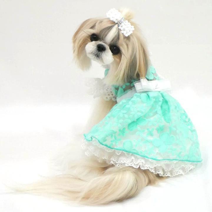 犬の服 春 夏 Luxe birdie オルテンシアワンピース ミント リュクスバーディ 洋服 ドッグウェアの画像