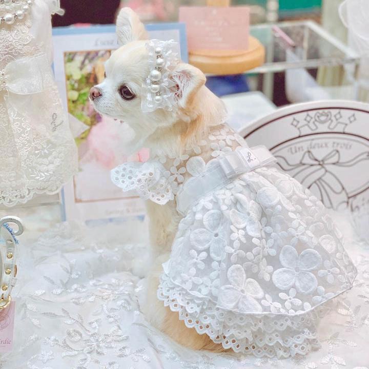 BIRDIE（バーディー） 犬の服 秋 冬 Luxe birdie デビュタント
