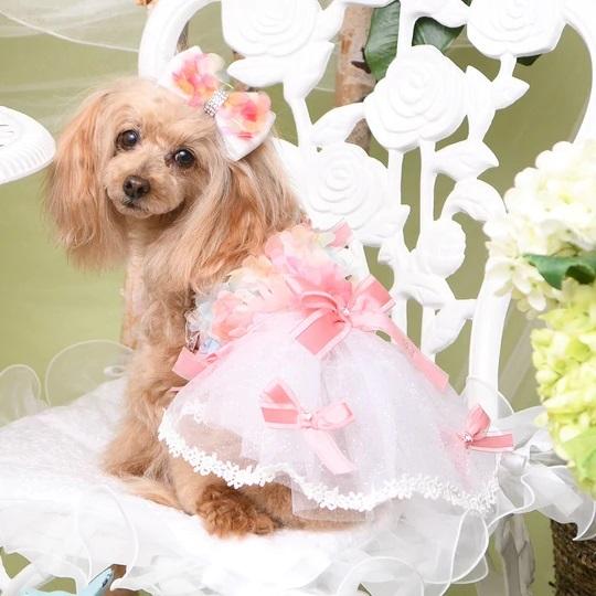 BIRDIE 犬の服 春 夏 Luxe birdie ミナージュワンピース ピンク