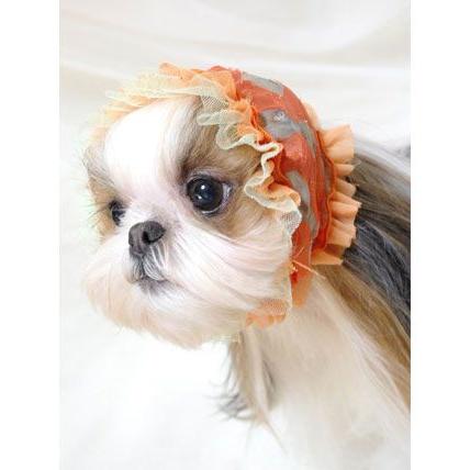 犬のスヌード リボンチュールスヌード ピンク Circus Circus サーカス サーカス Ccs 0001d ドッグウェアのciera 通販 Yahoo ショッピング