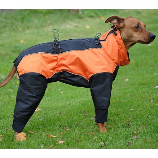 犬の服 ダコタスノースーツ レッド Euro Dog Designs : ドッグウェアの