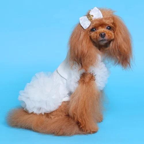 ゴットピバ　COOLブライトチュチュワンピースバレッタ付きイエローSM新品未使用 COOLブライトチュチュワンピース - GODPIVA（ゴッドピバ）： 犬