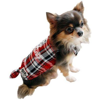 犬の服 春 夏 新作 チェックシャツ ブルー grandy グランディ 洋服 ドッグウェア |  | 04