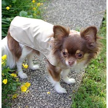 犬のレインコート レインマント ベージュ 犬と生活 Inu12ss35 ドッグウェアのciera 通販 Yahoo ショッピング